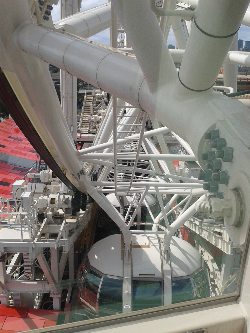 the “view” from the wheel.